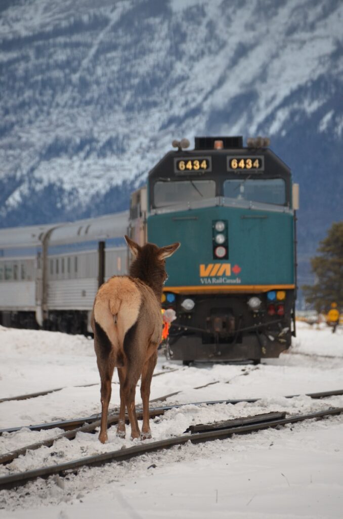 Via Rail Train Schedules