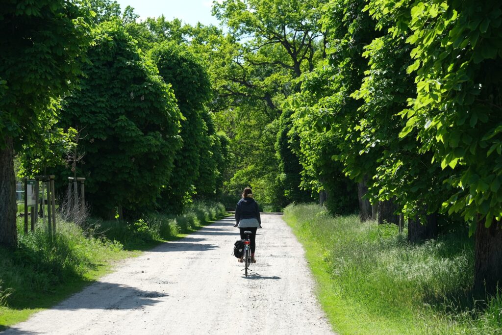 man in black jacket riding bicycle on gray asphalt road during daytime