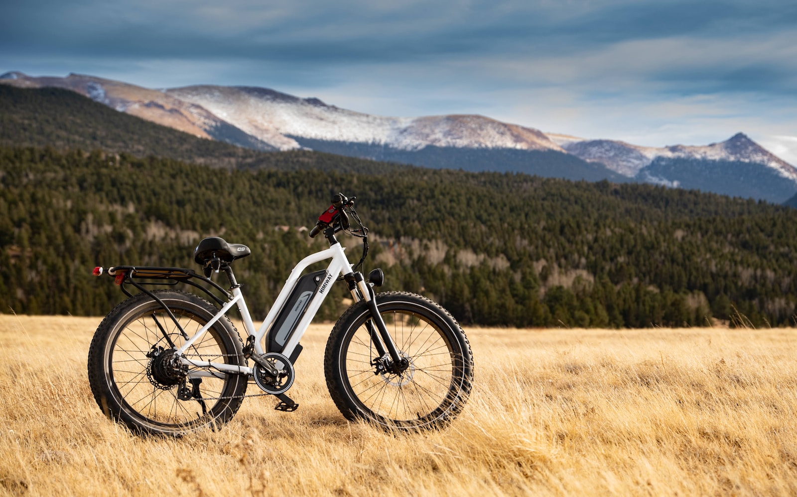 e-bike-laws-worldwide-the-most-comprehensive-guide-to-e-bike