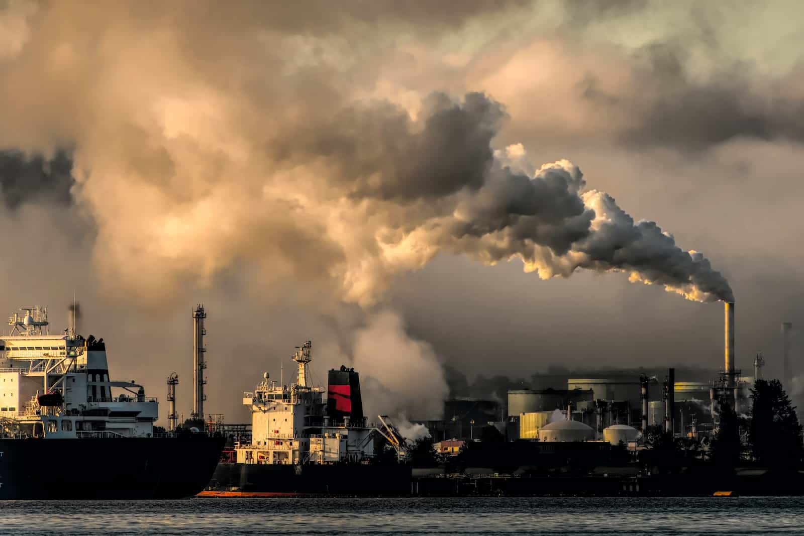 Why Air Pollution Is More Dangerous Than You Think: A Link to Stroke and Dementia